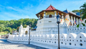 Can’t Decide What to do in Kandy? Here’s What We Suggest