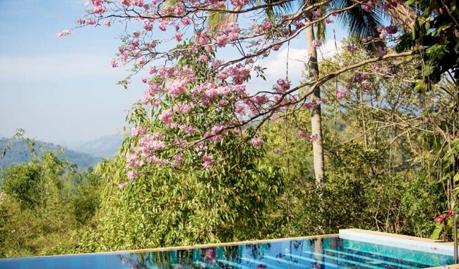 Looking for an Eco-friendly Resort in Sri Lanka Mount Havana is the Place to Visit