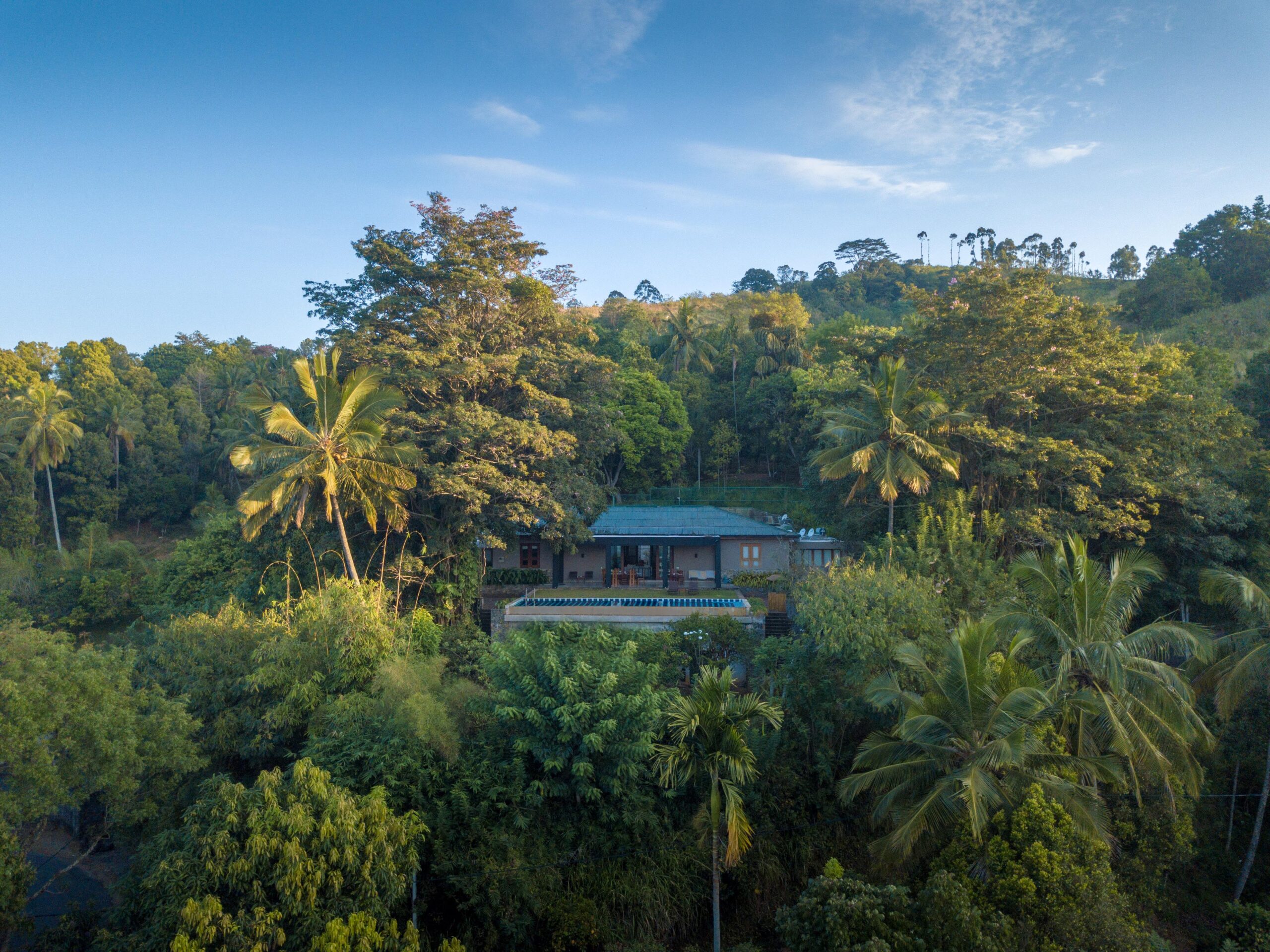 Aerial view of the forest estate